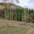 Barazar-Parketxea (12)